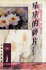 星星的碎片