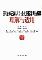 《刑法修正案(八)》条文及配套司法解释理解与适用