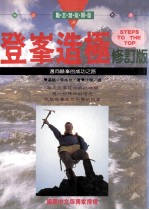 登峰造极 迈向巅峰的成功之路