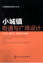 小城镇规划设计丛书 小城镇街道与广场设计