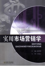 实用市场营销学