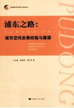 浦东之路 城市空间发展经验与展望
