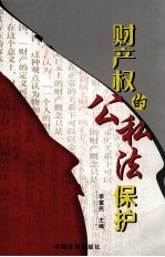 财产权的公私法保护