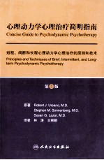 心理动力学心理治疗简明指南 短程、间断和长程心理动力学心理治疗的原则和技术
