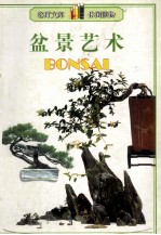 盆景艺术