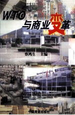 WTO与商业变革