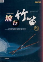 流行竹笛 流行歌曲改编的竹笛曲 3