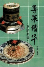 粤菜精华 家庭菜谱