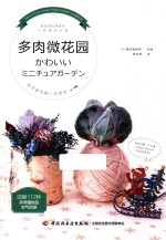 多肉微花园