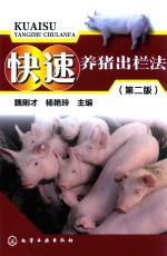 快速养猪出栏法