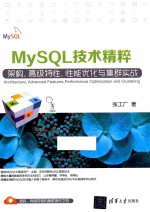 MySQL技术精粹 架构、高级特性、性能优化与集群实战