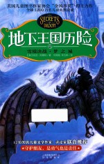 地下王国历险 17 雪境决战·梦之城