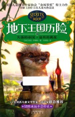 地下王国历险 18 失落的帝国·最终的挑战
