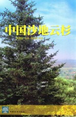 中国沙地云杉