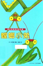 藏在故事里的昆虫课 螳螂小弟