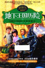 地下王国历险 7 马利班王子的面具 失踪的精灵