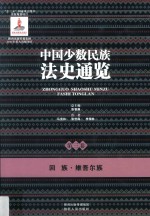 中国少数民族法史通览 第3卷 回族 维吾尔族