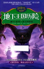 地下王国历险 15 魔石迷踪·鼠王的阴谋
