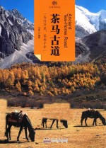 印象中国 文明的印迹 茶马古道