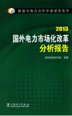 国外化改革分析报告 2013