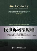 民事诉讼法原理 第5版