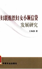 妇联组织妇女小额信贷发展研究
