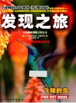 发现之旅 飞翔的鸟