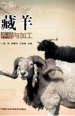 藏羊养殖与加工