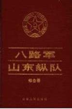八路军山东纵队 综合册