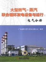 大型燃气-蒸汽联合循环发电设备与运行 电气分册