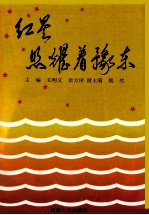 红星照耀着豫东