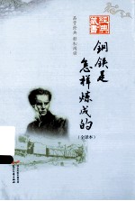 钢铁是怎样炼成的 全译本