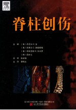 脊柱创伤