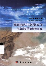 雾霾和沙尘污染天气气溶胶单颗粒研究 中英双语版