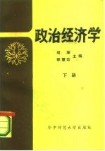 政治经济学 下