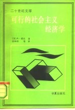 可行的社会主义经济学