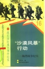 “沙漠风暴”行动 海湾战争纪实