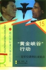 “黄金峡谷”行动 美军空袭利比亚始末