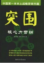 突围:核心力营销