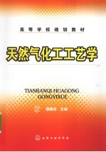 天然气化工工艺学