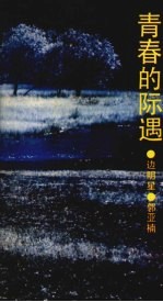 青春的际遇