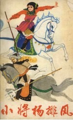 小将杨排风