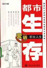 都市生存：营销职业人生