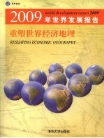 2009年世界发展报告 重塑世界经济地理