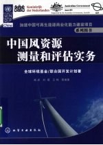 中国风资源测量和评估实务