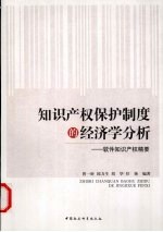 知识产权保护制度的经济学分析:软件知识产权精要