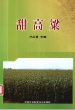 甜高粱