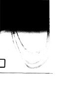 蓝天碧血扬国威 中国空军抗战史料