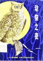 动物之夜 它们在黑暗中如何感觉
