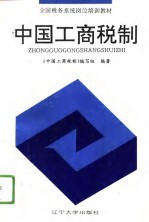 中国工商税制 1994版